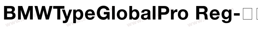 BMWTypeGlobalPro Reg字体转换